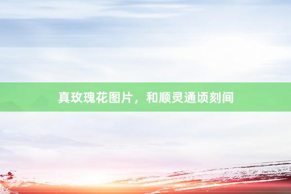 真玫瑰花图片，和顺灵通顷刻间