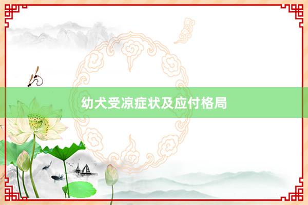 幼犬受凉症状及应付格局