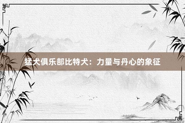 猛犬俱乐部比特犬:力量与丹心的象征